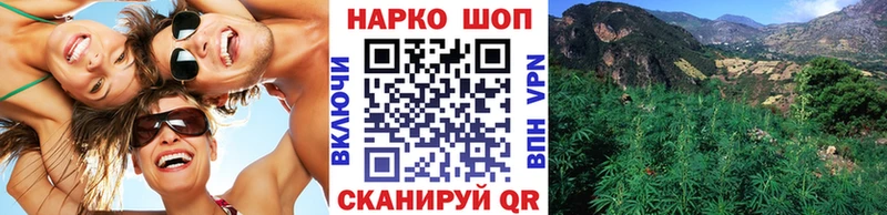 Где продают наркотики Новоалександровск A PVP МЕФ Метадон гидра ссылка ГАШИШ Марихуана