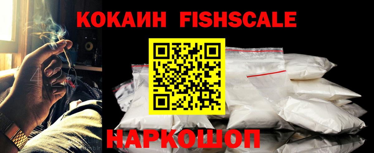 купить наркотики сайты  Cocaine Fish Scale  COCAIN Перу  Cocaine  Вход с VPN  Новоалександровск 