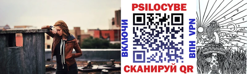 Псилоцибиновые грибы Psilocybe  купить  сайты  Новоалександровск 