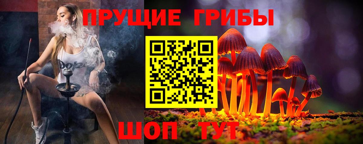 Новоалександровск  Галлюциногенные грибы MAGIC MUSHROOMS  Вход с VPN 